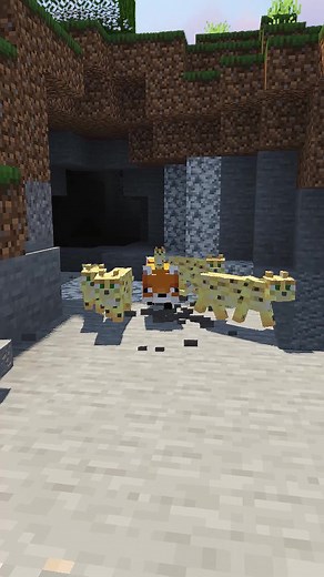 Explore Minecraft Adventures with Characters and Mobs