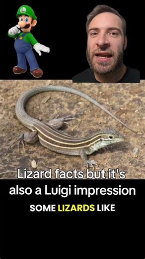 Why these lizards DON'T need a mate...Ft. Luigi impression