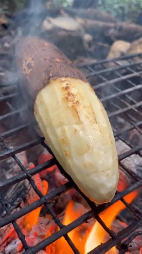 🌍 Nomad Shiv on Instagram: "Jungle Me Root Vegetable Breakfast 🍠 Uganda Tribal Life"