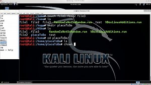 The Linux CLI explained in greater detail to give you a good understanding