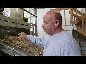 Hemp Decortication in 60 seconds