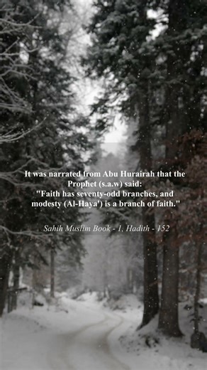 Hadith -11 | Daily Hadith #islamicreminder #hadith #hadithoftheday #hadithreminder #islamicknowledge