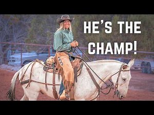 I Could NOT Believe What This Mule Did!