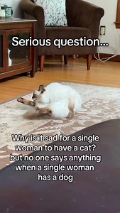 1.4K views · 12 reactions | Why so much shade towards the single women with cats? #single #singleladies #catlady #crazycatlady | Ashley Jannino | Facebook