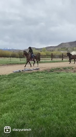 Saturday Jingle! #clazyuranch #clazyuherd #duderanch #duderanchvacation #colorado #rockymountains #jingle | C Lazy U Ranch