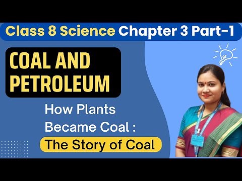 Class 8th Science Chapter 3 Coal and Petroleum | Story of Coal Class 8 | Coalification