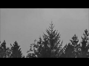 Jadyn Rylee - Nothing Compares To