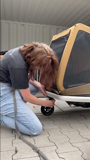 Die Fahrt zur Arbeit im Croozer Dog 🐶 #croozer #doglovers