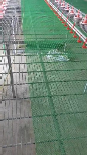 Dance with us! 🕺💃 Please visit our website and know more! amazonmfgcorp.com #nocopyrightinfringementintended | Amazon Manufacturing Corporation