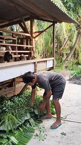 Daster bolong😅 Intan Rahayu Tresna | Okka Chanel