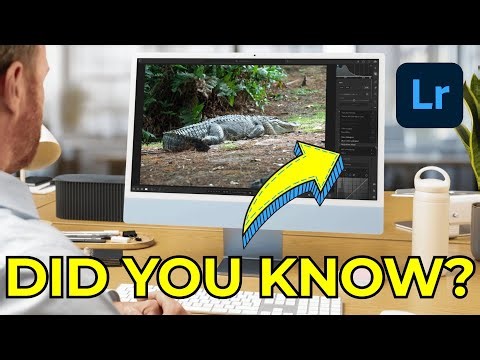 Make Lightroom Work FOR YOU: Tips to Organize Photos and Edit Faster