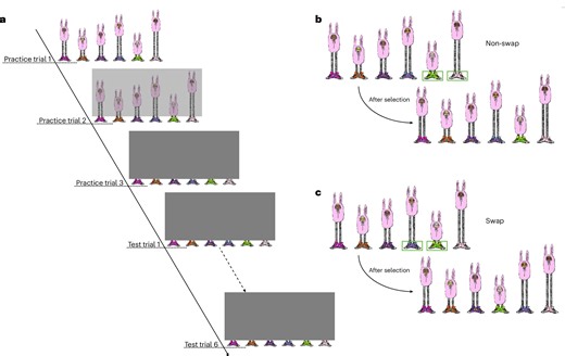 Children can be systematic problem-solvers at younger ages than psychologists previously thought
