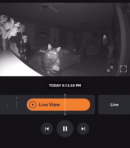 Cat Scare Compilation: Hilarious Reactions Caught on Camera!