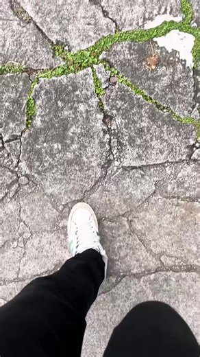 Enhance Your Social Media Posts with HD Camera