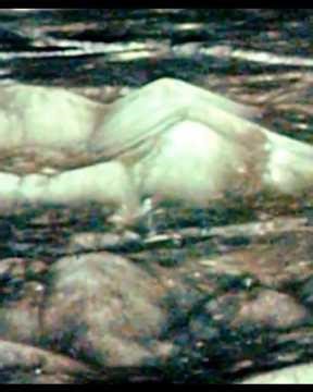 ALIEN CITIES ON THE MOON?