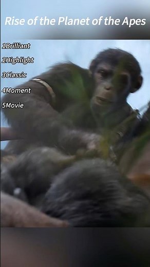 Chased Into the Grass by Apes, He Rushes to Save the One Who Once Helped Him 🐒🌾⚡