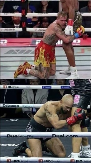 Alpha males #andrewtate #boxing