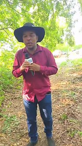 sinto cheiro de notícias 😢 | Déborah Mel