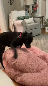 Cindy Farmer FOX 8 on Reels