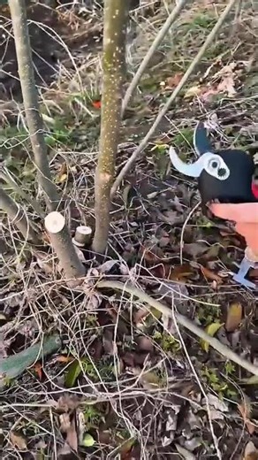 with parameter powerful electric pruner's cutting tree #stysifiying #tiktok #viral #shorts