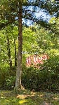 【女ひとり旅】車なし！2泊3日でいく福井ひとり旅 Day2 #ひとり旅 #旅行 #福井県 #福井県観光