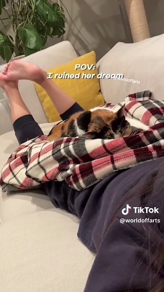 Animals Scared by Farts Compilation