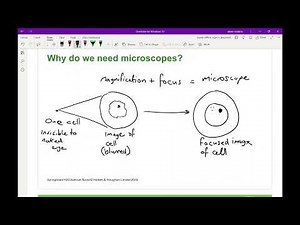 Springboard KS3 Science: How to Use OneNote to Deliver Science Lessons
