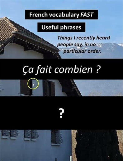 What does "Ça fait combien ?" mean in French? #frenchforbeginnners #french #frenchvocabulary