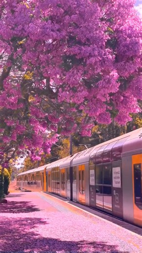 most beautiful places on earth # travel #explore # nature