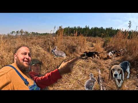 RABBIT Hunting Competition | (Extra) NEW Night HUNTING Toy