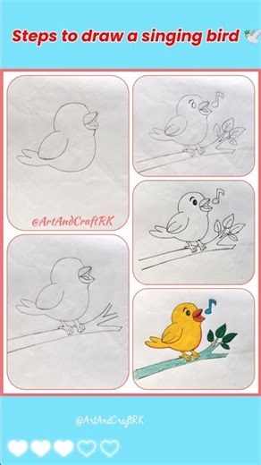 learn steps to draw a singing bird 🕊️ l #birddrawing #beginnerarttips #drawing #viral #shortsfeed