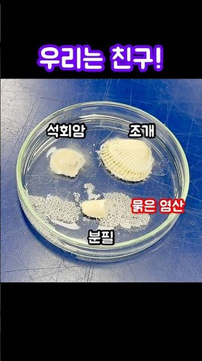 탄산칼슘! #CaCO3 #과학실험 #ScientificExperiments