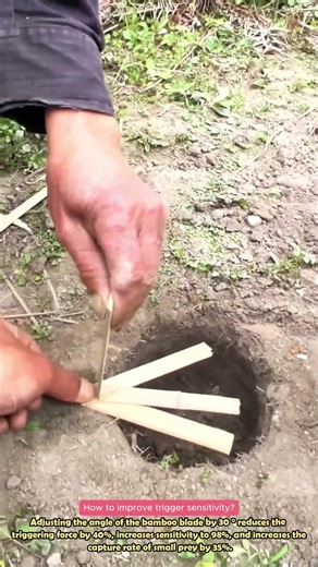 Bamboo Slat Trap, Ancient Hunting Skill #lifewisdom #diytools #clever