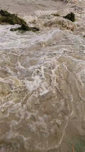 4K Flooding River B-Roll (No Sound) | Nature Asset #stockfootage