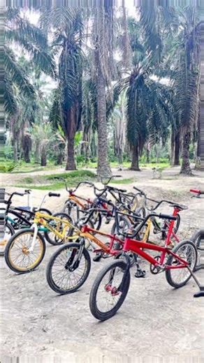 Zio Bmx Cross and Onthel Zio Bmx #fyp #fypシ゚viral #bmx #youtubeshorts