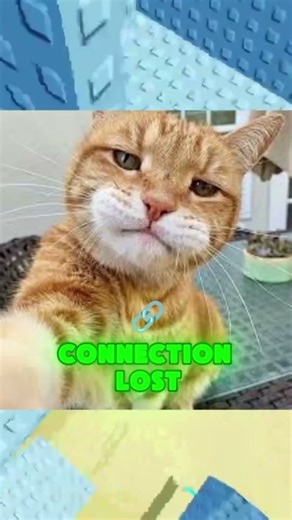 School Wi-fi 😭🙏💀 #robloxrant #roblox #shorts