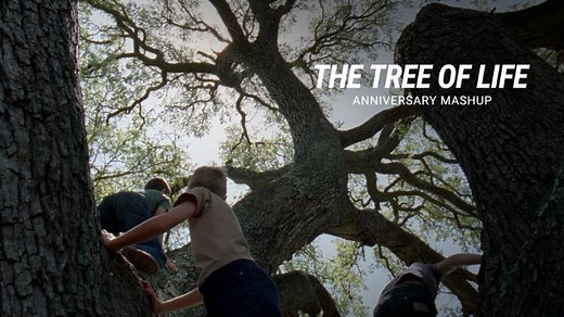 In celebration of the 10th anniversary of 'The Tree of Life,' here's a look back at Terrence Malick's critically acclaimed film, starring Brad Pitt, Jessica Chastain, and Sean Penn. What's your favorite scene? https://imdb.to/3oR4gTF | IMDb