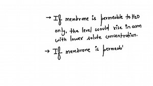 An ideal semipermeable membrane is set up as shown. The membrane surface area is S; the crosssectional area of the manometer tube is s. At t=0, the height of fluid in the manometer is zero. The density of fluid is ρ. Show that the fluid height rises to a final value with an exponential behavior. Find the final value and the time constant. Ignore dilution of the solute. | Numerade