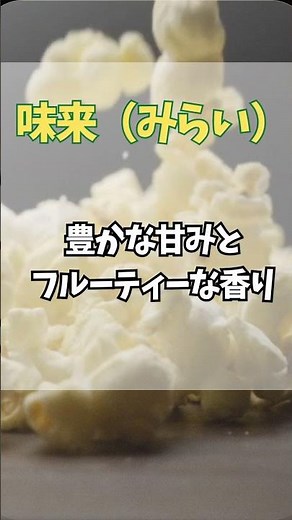 とうもろこしの種類5つ知ってる? #雑学 #プチ知識 #農業#とうもろこし #雑学#青山龍星