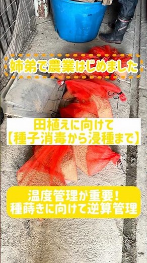 種まきに向けて種もみ準備！種子消毒から浸種まで