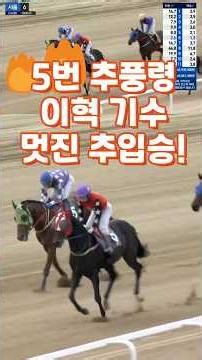 💥곧 은퇴하는 홍대유 조교사🐎단거리 추입의 진수를 보여주다😊경마예상💕다크호스경마⚡경마예상👌경마🎈경마장😊경마방송🐎경마예상방송🫏경마하이라이트🥎경마실시간🚩경마예상가🏐경마정보⚾경마공원