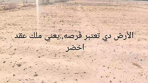 4.7K views · 14 reactions | يوجد 10 فدان ملك نهائى عقد اخضر ع الطريق الاسفلت الرئيسي مباشرة واجهه 112 متر بها منزل كبير وبئر الارض فضاء بالكامل وسبقت زراعتها المطلوب في كامل المزرعه 2 مليون ونص للاستفسار والمعاينة واتساب ايموا جوال 011 51231428 | استثمارات الطلالي الزراعيه | Facebook