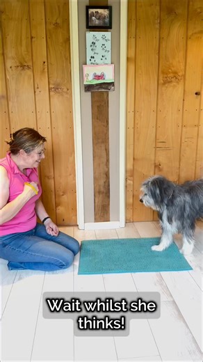 Worried about trying out clicker training? This is where l'd start! A simple useful behaviour that's easy to train. Save for when you want to give it a try, and shout if you need a hand! #azaphofmagic #RewardBased Training #clickertraining #DogTraining #dogtrainingtips | Kiss Dog Training | Facebook