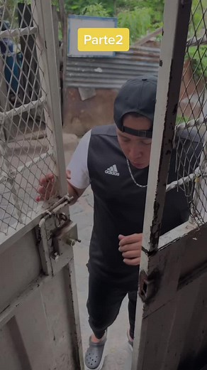 Cuentas recomendadas