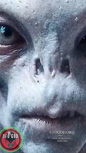 186K views · 4.9K reactions | REAL? Extraterrestrial UFO alien Nevada USA #UFO #Alien #UFOSightings #UFOSighting #FYP More Info On This Alien Video Here ➡️ UFOGOD.ORG | UFO GOD | Facebook