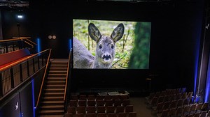 Hamburgs neuestes Kino zeigt nur ganz spezielle Filme – welche das sind