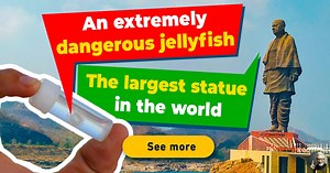 10 pics of extremely large or tiny things that are stunning