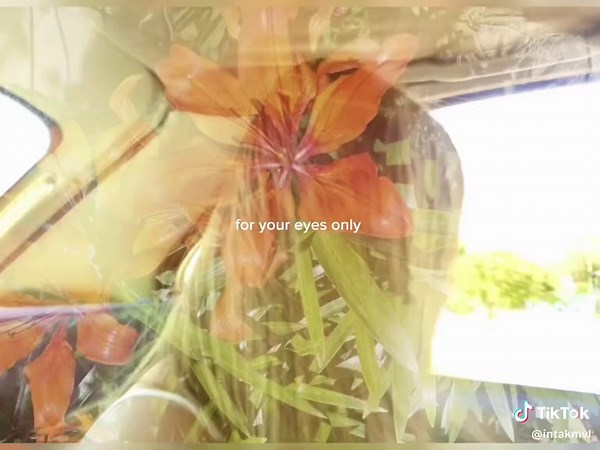 Exploring Safe Spaces in One Direction's Music