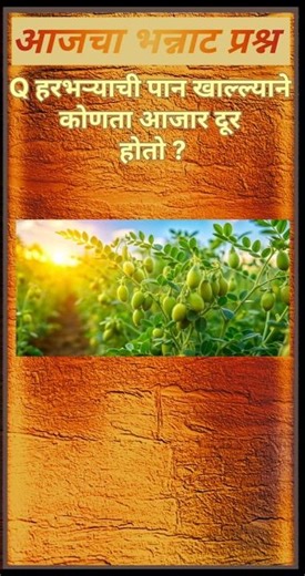 Q हरभऱ्याची पान खाल्ल्याने कोणता आजार दूर होतो ?2025 के MostExpectedGK Questions