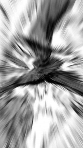 31K views · 1.1K reactions | FLASHY FLASH ENTRENA CON SAITAMA | Saitama Chan | Facebook